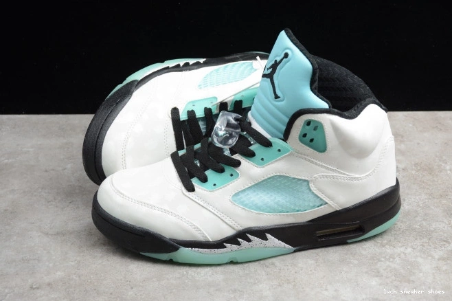 Reps LUCY Island Air Jordan CN2932-100 5 Green 0630